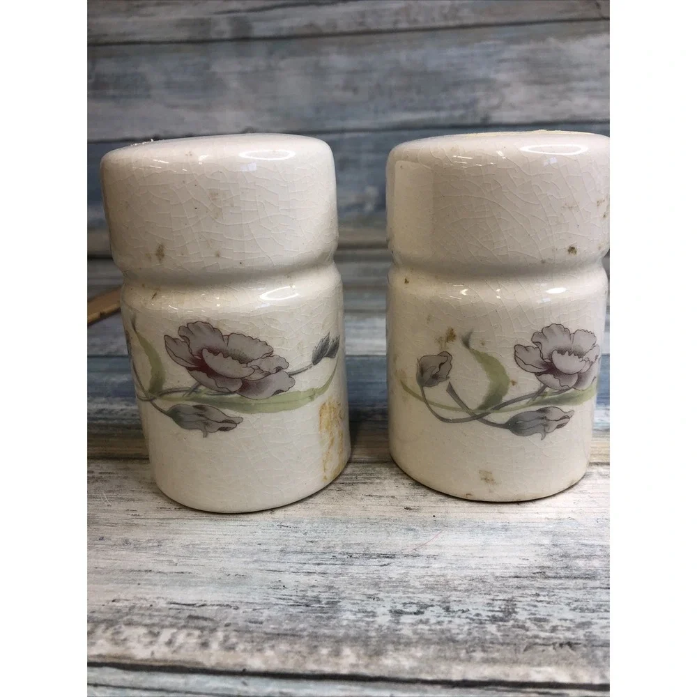 Vintage Table Tops Lovely  Ceramic Floral Salt & Pepper Shakers